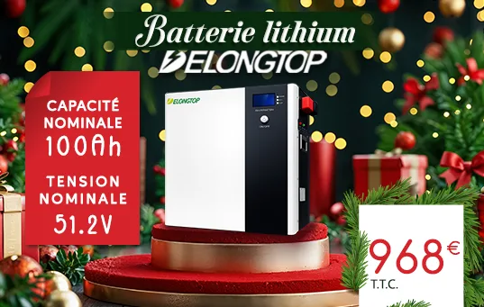 Batterie Lithium DelongTop de 51,2V 100Ah 16kWh au prix de 968€ T.T.C.